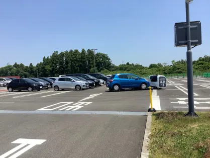 קזינו ספייס בינגו אפליקציה לנייד